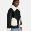 Sheepskin Real Shearling Leather Jacket Leather